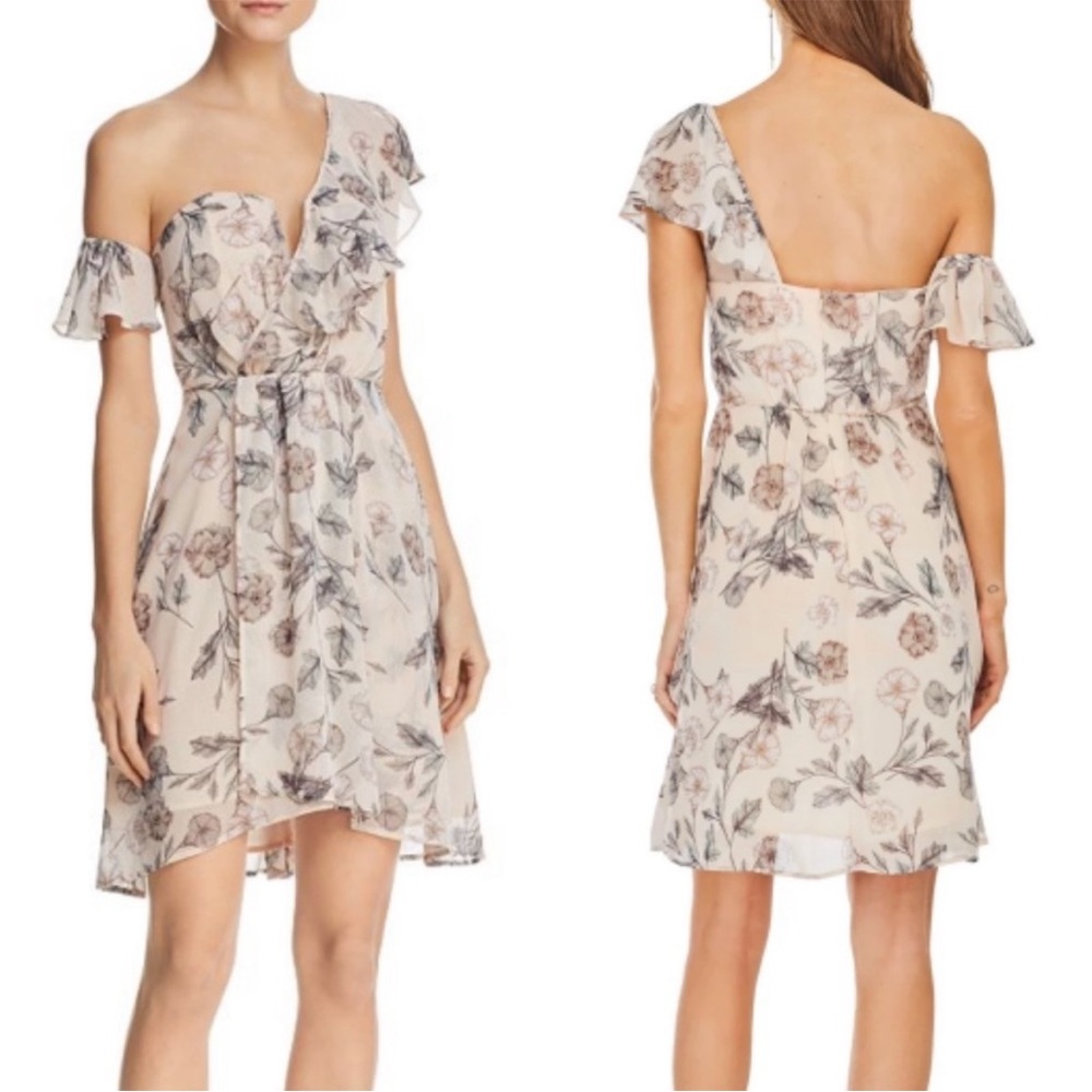 ASTR the label Libby dress pale pink floral medium
